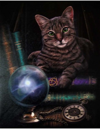 Fortune Teller Cat Canvas Print